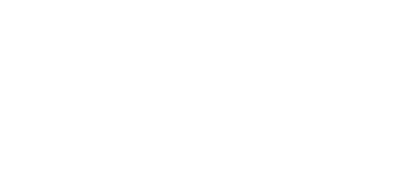 Tulip Carpet Cleaning Aspen Hill