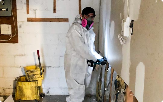 Mold Remediation is Aspen Hill, MD